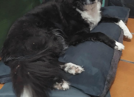 Создаем теплый образ на каждый день: одеваемся зимой стильно и удобно