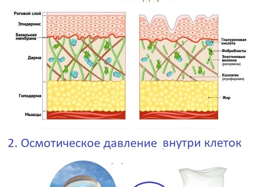 Тургор кожи: что это такое и как его можно повысить