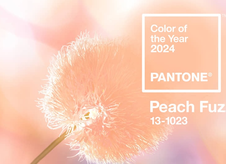 Pantone объявил персиковый ключевым цветом 2024 года. 5 оттенков, с которыми он смотрится лучше всего