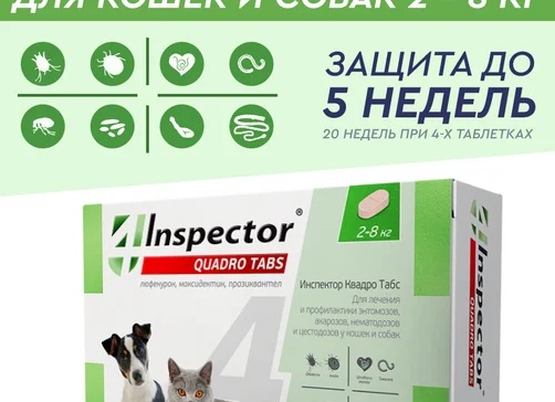 Капсула недели с Wildberries: 5 вещей, 7 стильных образов