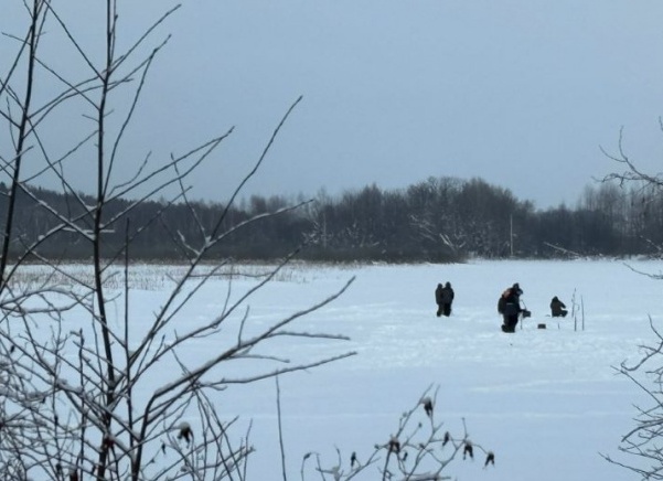 7 модных находок для зимнего гардероба