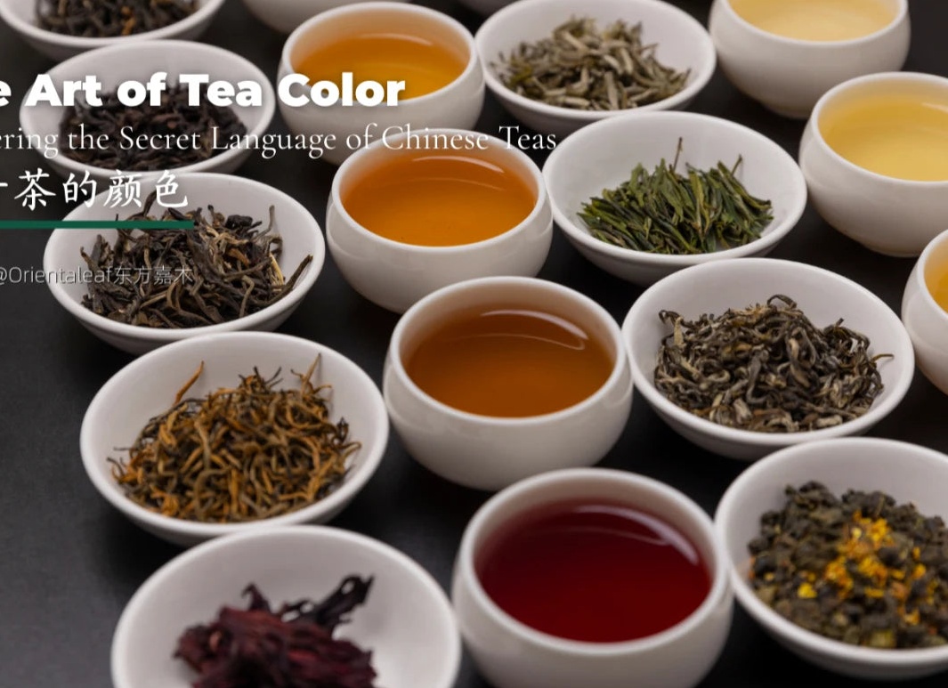 Палитра лета 2025: пять ключевых оттенков от ведущих брендов. Что придет на смену кислотным тонам?