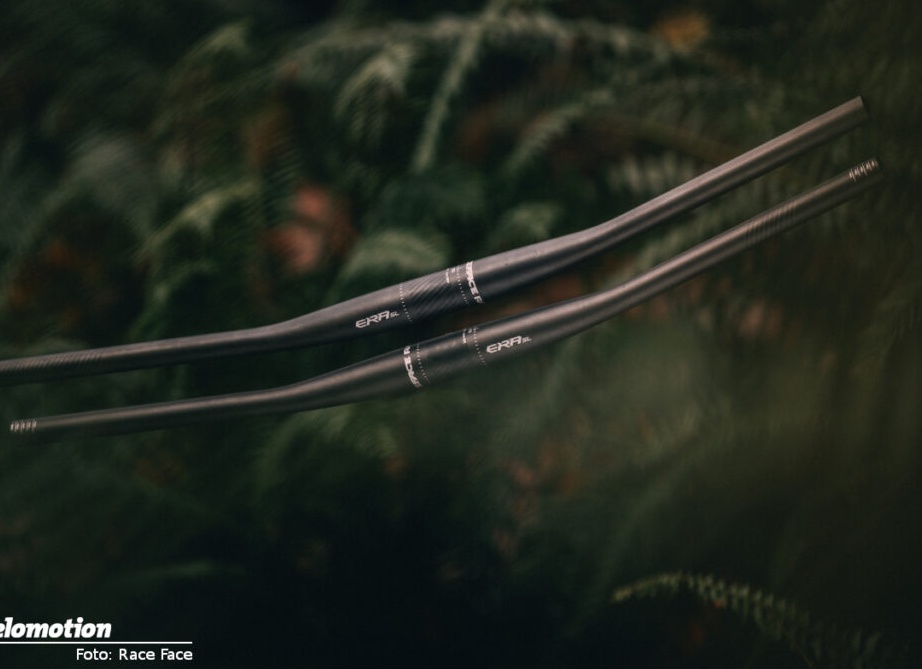 Незаслуженно забытый аксессуар, который француженки используют для изысканности своих нарядов